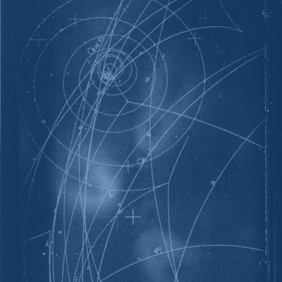Principi di quantistica nell'interpretazione letteraria e nella traduzione